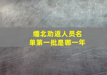 缅北劝返人员名单第一批是哪一年