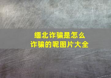 缅北诈骗是怎么诈骗的呢图片大全