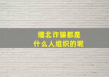 缅北诈骗都是什么人组织的呢