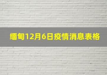 缅甸12月6日疫情消息表格