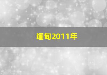 缅甸2011年