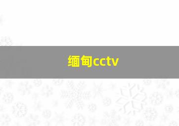 缅甸cctv