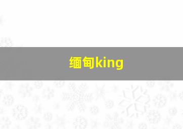 缅甸king