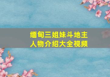 缅甸三姐妹斗地主人物介绍大全视频