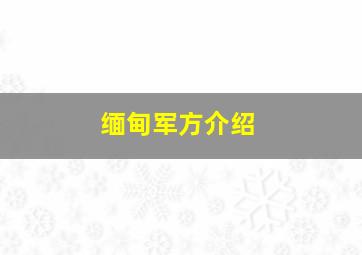 缅甸军方介绍