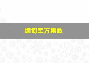 缅甸军方果敢