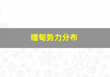 缅甸势力分布