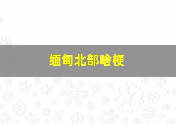 缅甸北部啥梗