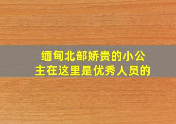 缅甸北部娇贵的小公主在这里是优秀人员的