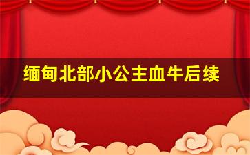 缅甸北部小公主血牛后续