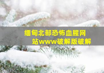 缅甸北部恐怖血腥网站www破解版破解