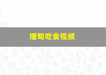 缅甸吃食视频