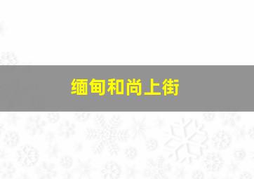 缅甸和尚上街