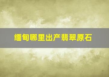 缅甸哪里出产翡翠原石