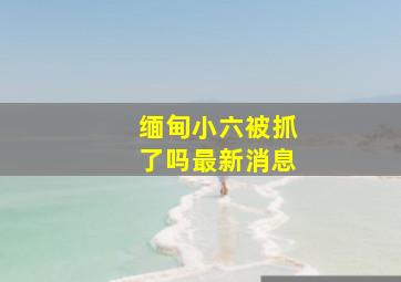 缅甸小六被抓了吗最新消息