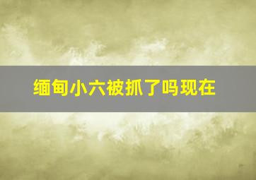 缅甸小六被抓了吗现在