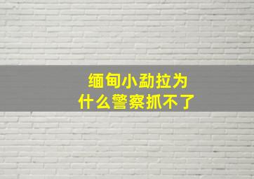 缅甸小勐拉为什么警察抓不了