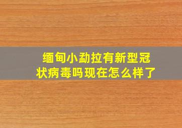 缅甸小勐拉有新型冠状病毒吗现在怎么样了