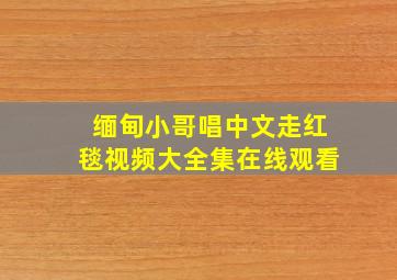 缅甸小哥唱中文走红毯视频大全集在线观看