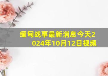 缅甸战事最新消息今天2024年10月12日视频