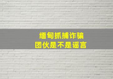 缅甸抓捕诈骗团伙是不是谣言