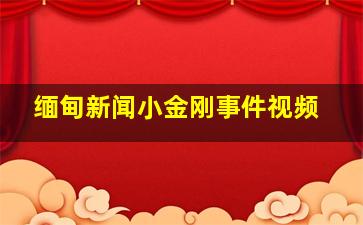 缅甸新闻小金刚事件视频