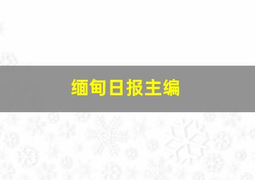 缅甸日报主编