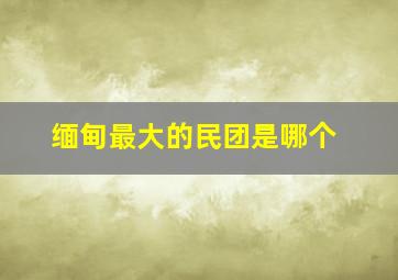 缅甸最大的民团是哪个