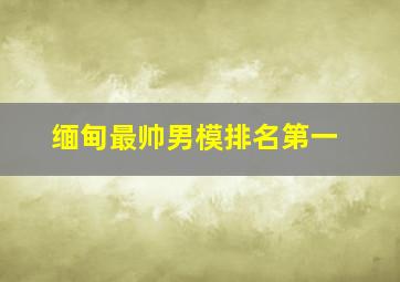 缅甸最帅男模排名第一