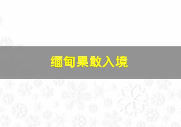 缅甸果敢入境