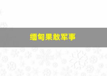 缅甸果敢军事