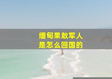 缅甸果敢军人是怎么回国的