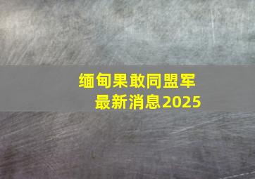 缅甸果敢同盟军最新消息2025