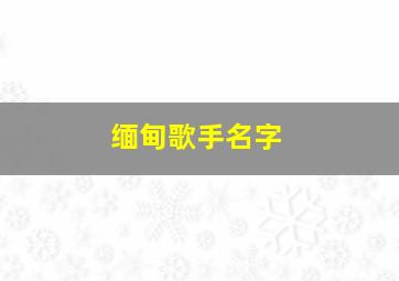 缅甸歌手名字