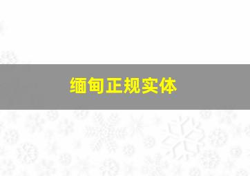 缅甸正规实体