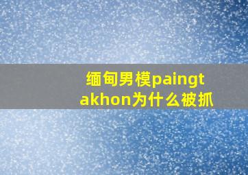 缅甸男模paingtakhon为什么被抓