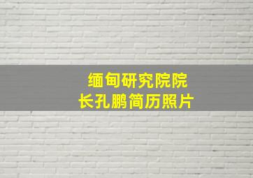 缅甸研究院院长孔鹏简历照片