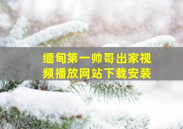 缅甸第一帅哥出家视频播放网站下载安装