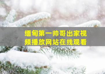 缅甸第一帅哥出家视频播放网站在线观看