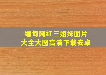 缅甸网红三姐妹图片大全大图高清下载安卓