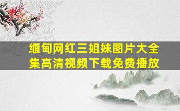 缅甸网红三姐妹图片大全集高清视频下载免费播放