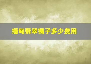 缅甸翡翠镯子多少费用