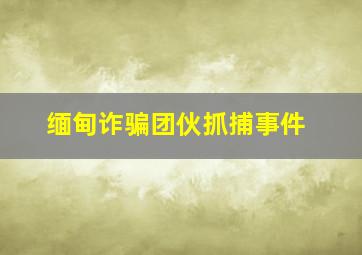 缅甸诈骗团伙抓捕事件