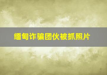 缅甸诈骗团伙被抓照片