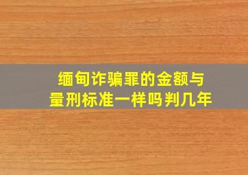 缅甸诈骗罪的金额与量刑标准一样吗判几年