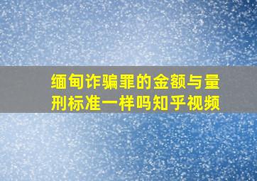 缅甸诈骗罪的金额与量刑标准一样吗知乎视频