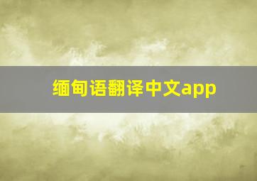 缅甸语翻译中文app