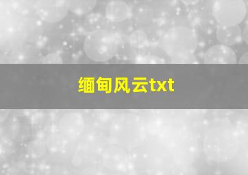 缅甸风云txt