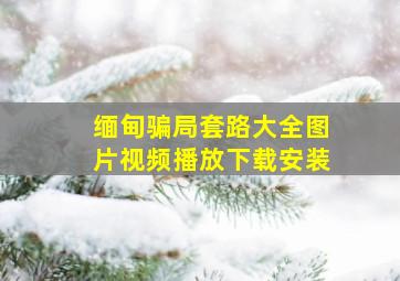 缅甸骗局套路大全图片视频播放下载安装