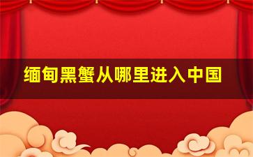 缅甸黑蟹从哪里进入中国